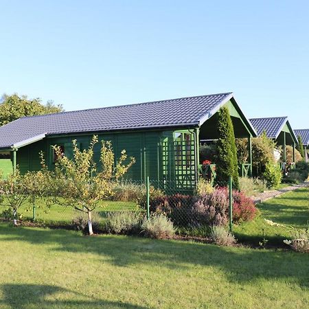 Domki Green Grzybowo Грзибово Экстерьер фото